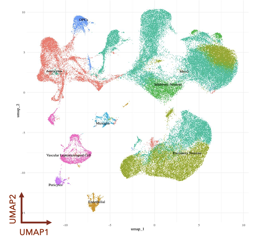 Research figure